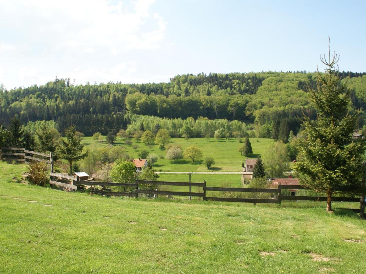 Cosy Holiday Home With Garden In Walscheid Esterno foto